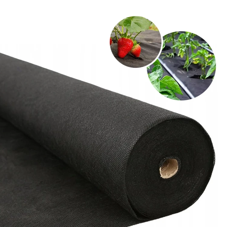 Agrowłóknina czarna 50g
