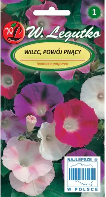 Wilec powój pnący Early Call mieszanka