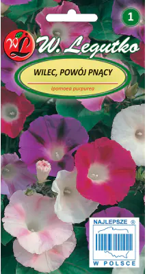 Wilec powój pnący Early Call mieszanka