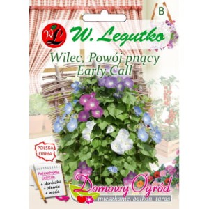 Wilec, Powój pnący - Early Call