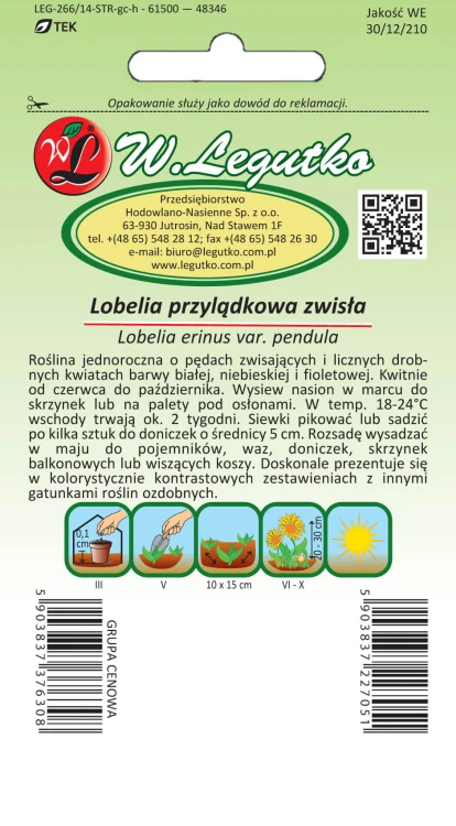 Lobelia przylądkowa zwisła mieszanka