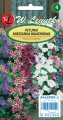 Petunia ogrodowa o pędach zwisających