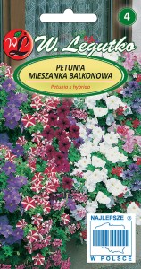 Petunia ogrodowa o pędach zwisających