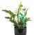 Zestaw do nawadniania 49 el.