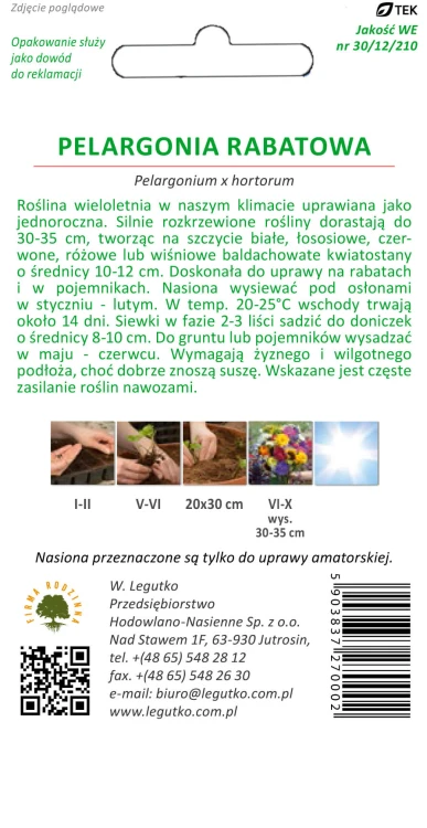 Pelargonia rabatowa F2 mieszanka