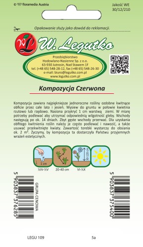 Kompozycja czerwonych kwiatów